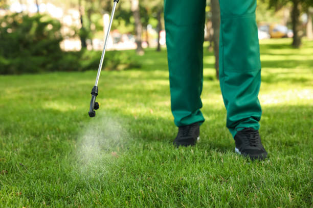 Best Pest Control Near Me  in Hackettstown, NJ