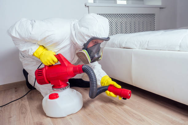 Best Insect Control  in Hackettstown, NJ