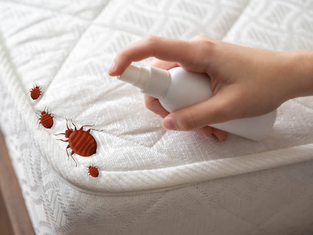 Best Residential Pest Control  in Hackettstown, NJ
