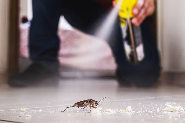 Best Exterminator Services  in Hackettstown, NJ