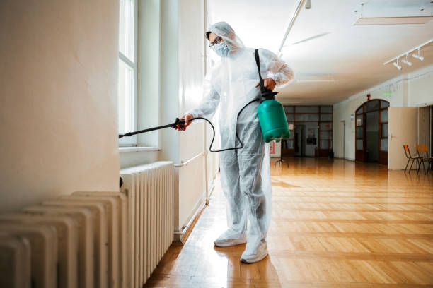 Best Cockroach Control Services  in Hackettstown, NJ