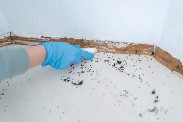 Pest Control Cost in Hackettstown, NJ